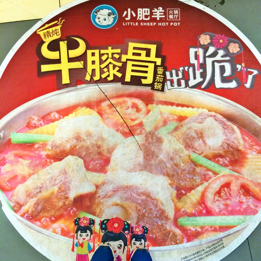 little sheep hotpot little sheep hotpot