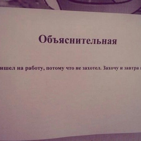Как писать объяснительные если что-то не сделала Как писать объяснительные если что-то не сделала