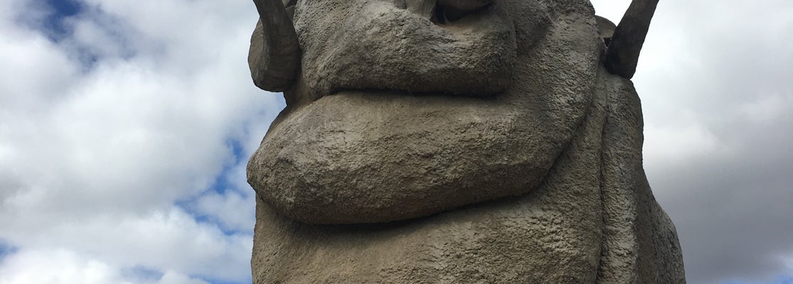 the big merino