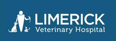 limerick veterinary hospital