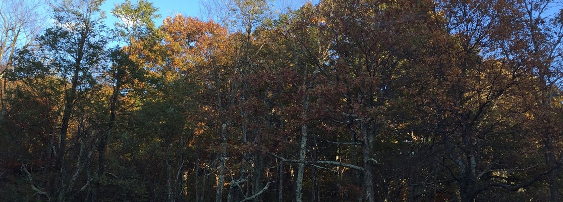 shenandoah river state park