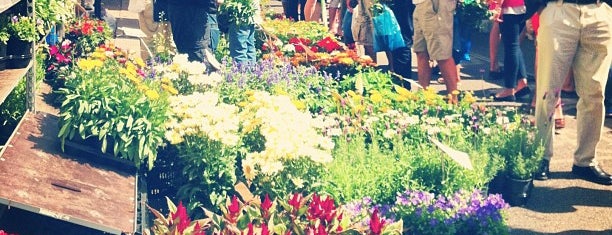 columbia road flower market is one of fancy.that.