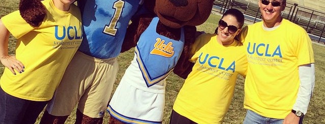 ucla bruins badge