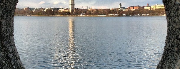 tidal basin is one of the 15 best places with scenic views in