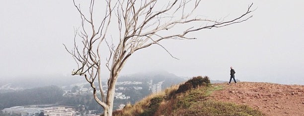 go for a walk