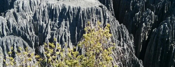 tsingy de bemaraha national park is one of attractions to visit.