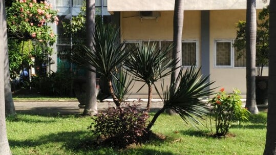 BAAK Universitas Negeri Surabaya