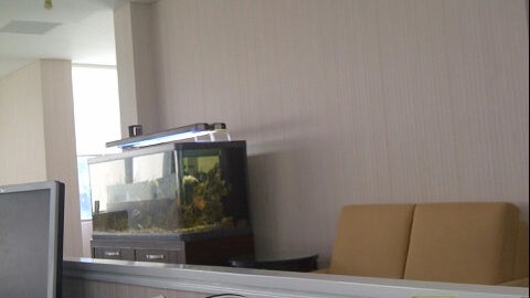 BSD City Management Office