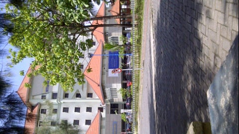 Sekolah Tinggi Ilmu Ekonomi Indonesia (STIESIA)