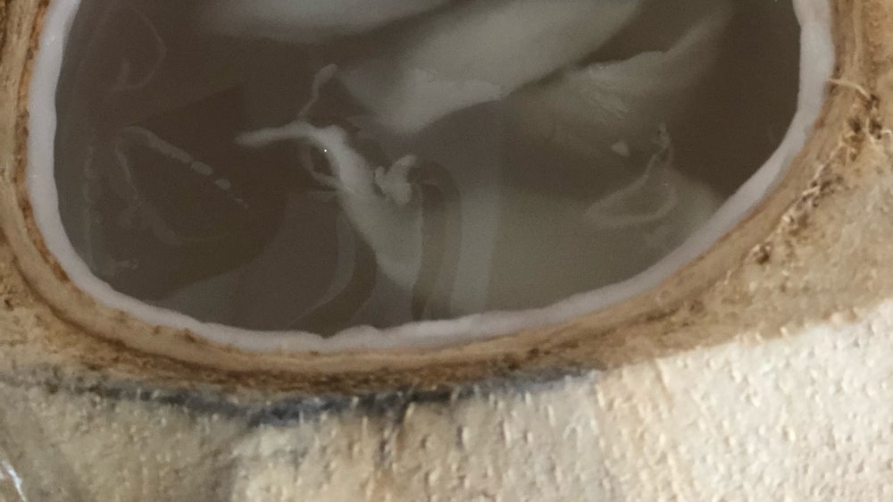 Mam Mee Bakery & Kopihaus