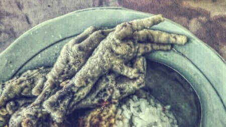 Selat Solo Tenda Biru