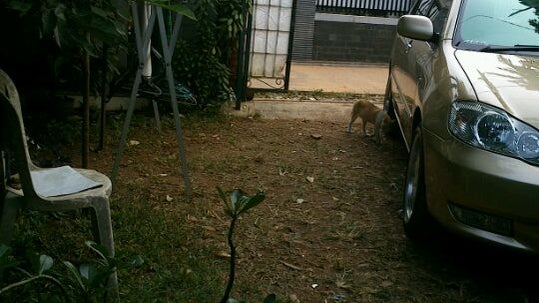 Gerbang Tol Jati Asih 1