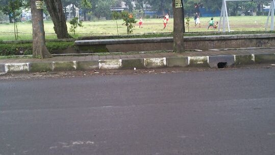 Taman Persib (Lapangan Supratman)