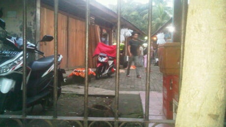 Pusat Ikan Hias Pasar Minggu