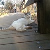 石神井公園・大泉学園