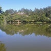 Foto Lago de Jacutinga, Jacutinga Foto Lago de Jacutinga, Jacutinga