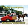 Foto Pizzaria e La Massas 100 Limites, Araguatins Foto Pizzaria e La Massas 100 Limites, Araguatins