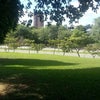Foto Jamelão Ipatinga, Ipatinga Foto Jamelão Ipatinga, Ipatinga
