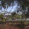 Foto Parque da Cidade, Itupeva Foto Parque da Cidade, Itupeva