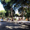Foto Praça da Matriz, Feira De Santana Foto Praça da Matriz, Feira De Santana