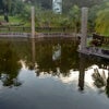 Foto Parque Municipal Dr Ado Cassetari Vieira, Urussanga Foto Parque Municipal Dr Ado Cassetari Vieira, Urussanga