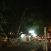 Foto Parque das Árvores, Caetité Foto Parque das Árvores, Caetité