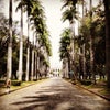 Foto Praça da Liberdade, Belo Horizonte Foto Praça da Liberdade, Belo Horizonte