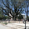 Foto Praça dos Bombeiros, Santa Maria Foto Praça dos Bombeiros, Santa Maria