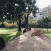 Photo of Jardin du Luxembourg