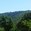 Foto Fazendinha Bem Ti Vi, Ribeirão das Neves Foto Fazendinha Bem Ti Vi, Ribeirão das Neves