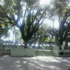 Foto Praça Flores da Cunha, Arroio do Meio Foto Praça Flores da Cunha, Arroio do Meio