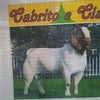 Foto Cabrito e Cia, Baixa Grande Foto Cabrito e Cia, Baixa Grande