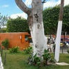 Foto Pracinha de Mulungu, Mulungu Foto Pracinha de Mulungu, Mulungu