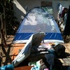 Foto Acampamento Em Coluna, Coluna Foto Acampamento Em Coluna, Coluna