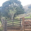 Foto Roça, Urucânia Foto Roça, Urucânia