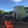 Foto Ricinho, Ariranha Foto Ricinho, Ariranha