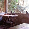 Foto Restaurante Mallongo, Sarzedo Foto Restaurante Mallongo, Sarzedo