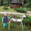 Фото Русский лес