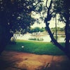 Foto Campina da Lagoa PR, Campina Da Lagoa Foto Campina da Lagoa PR, Campina Da Lagoa