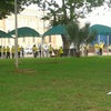 Foto Praça da Matriz, Castilho Foto Praça da Matriz, Castilho