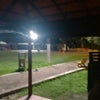 Foto Salvaterra, Salvaterra Foto Salvaterra, Salvaterra