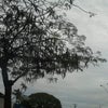 Foto Tuneiras do Oeste, Tuneiras do Oeste Foto Tuneiras do Oeste, Tuneiras do Oeste