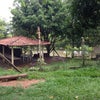 Foto Pesqueiro Zé Mineiro, Nova Aliança Foto Pesqueiro Zé Mineiro, Nova Aliança