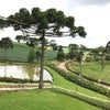 Foto Armazém Dona Francisca, Campo Alegre Foto Armazém Dona Francisca, Campo Alegre