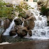 Photo of Waterfall Garden