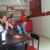 Foto Mr Shake, Papagaio Foto Mr Shake, Papagaio