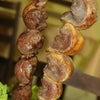 Foto Churrascaria Pinheirão, Paiçandu Foto Churrascaria Pinheirão, Paiçandu