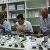 Foto O'Coffee Brazilian States, Pedregulho Foto O'Coffee Brazilian States, Pedregulho