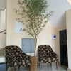 Foto Hotel Nativo, Porto Velho Foto Hotel Nativo, Porto Velho