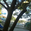 Foto AABB, Itaobim Foto AABB, Itaobim